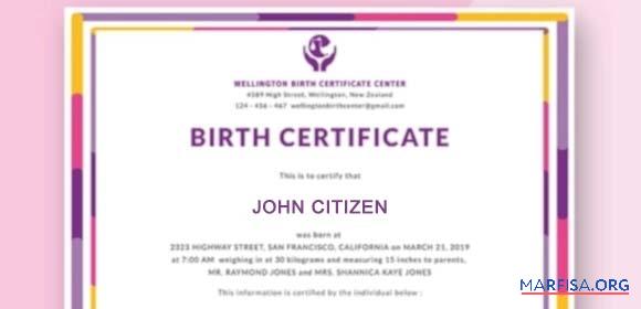 Realistic New Zealand Wellington birth certificate center birth cerificate example